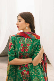 3PC Embroidered With Digital Printed Wool Shawl-216