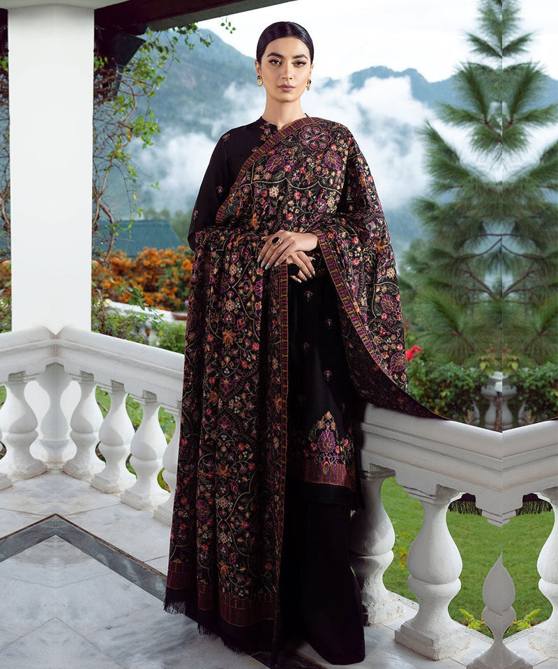 Dhanak 3PC Embroidered With Dhanak Shawl Embroidered-125