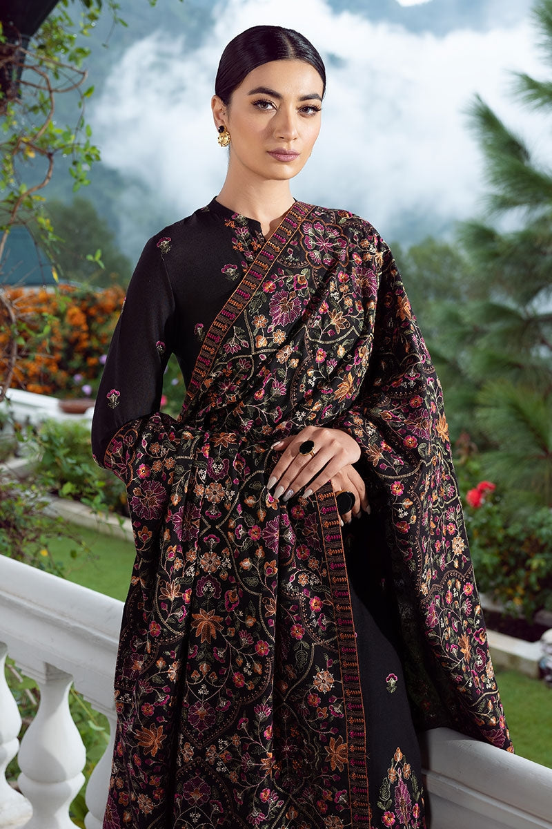 Dhanak 3PC Embroidered With Dhanak Shawl Embroidered-125