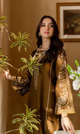 Dhanak 2PC Embroidered-185