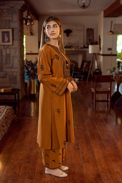 Dhanak-2pc Embroidered-3543