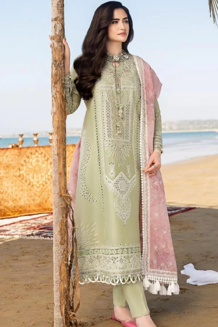 Lawn-3PC Embroidered Shirt with Digital Printed Organza Dupatta-1258